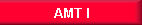 AMT I