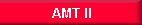 AMT II